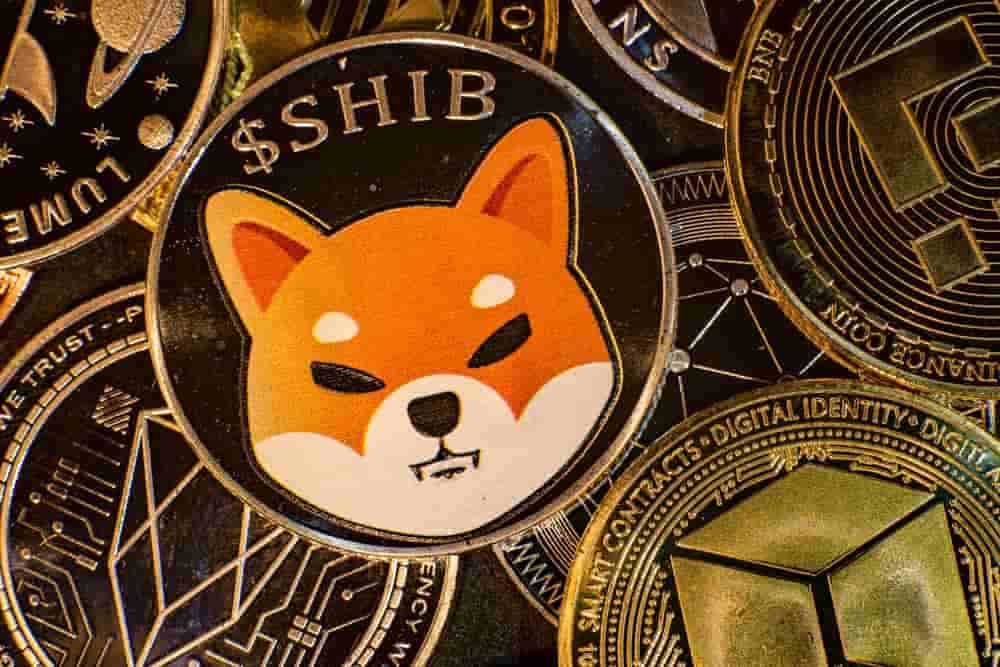 【柴犬 コイン】Shiba Inu (SHIB) 仮想通貨とは? その将来性とチャートを解説